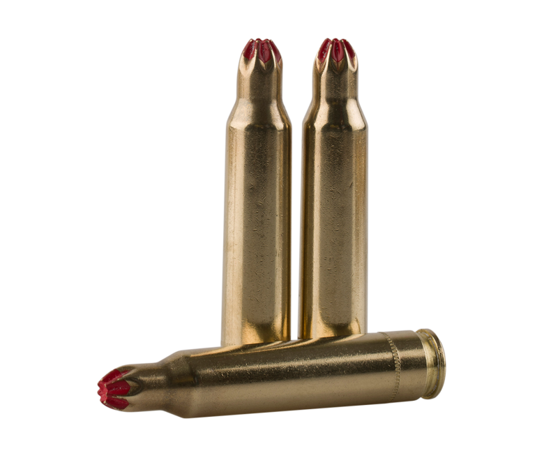 gag_es-0315981.png PPU Blank Brass 5.56 NATO 20-Rounds - Image 1